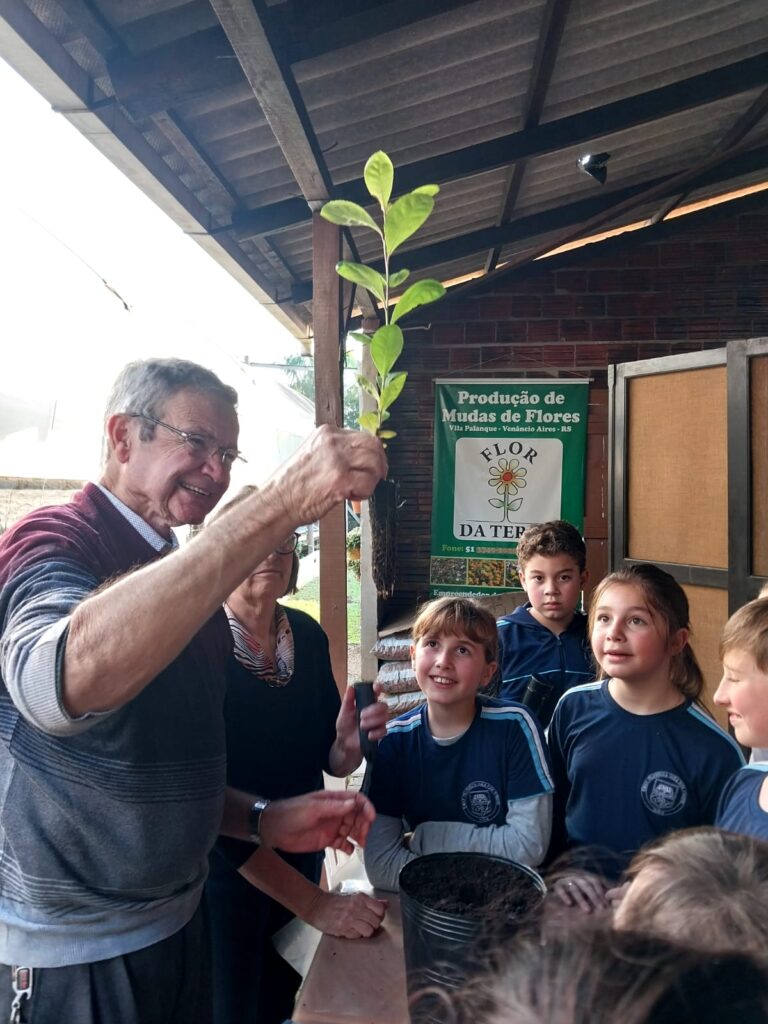 Viveiro de Mudas Flor da Terra